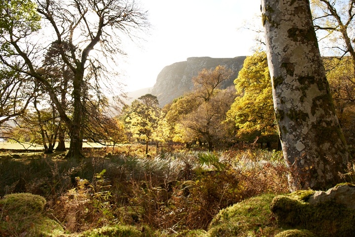 Luggala